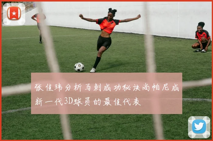 张佳玮分析马刺成功秘诀尚帕尼成新一代3D球员的最佳代表