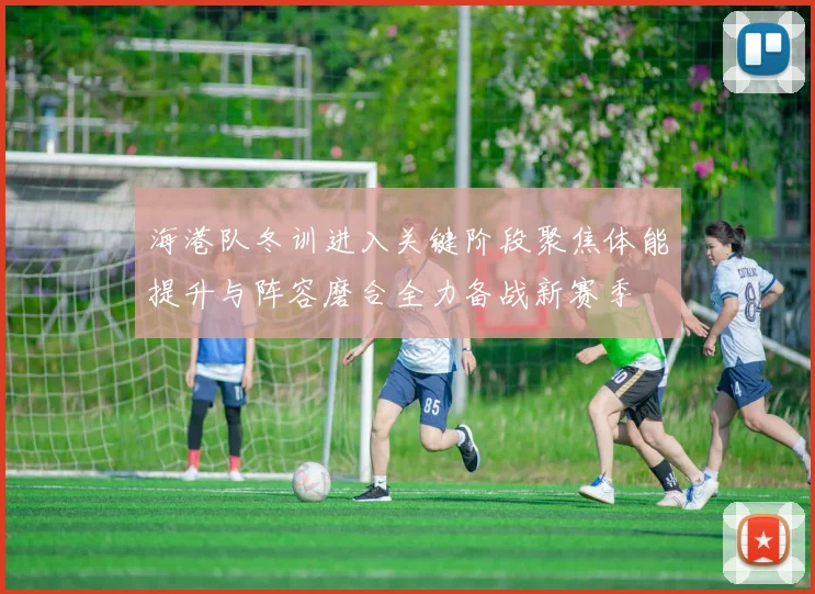 海港队冬训进入关键阶段聚焦体能提升与阵容磨合全力备战新赛季