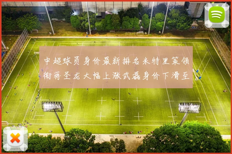 中超球员身价最新排名米特里策领衔蒋圣龙大幅上涨武磊身价下滑至50万