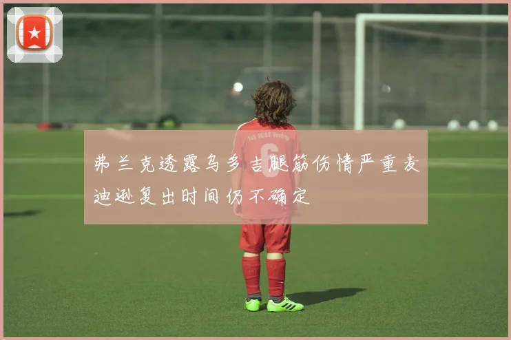 弗兰克透露乌多吉腿筋伤情严重麦迪逊复出时间仍不确定