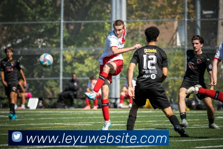 乐鱼体育发展历程